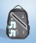 SKYBAGS Large 33 L Backpack